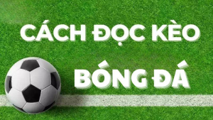 Hướng dẫn cách đọc kèo bóng đá cho người mới