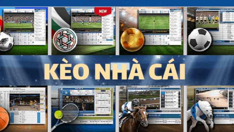 Nhà cái sử dụng công nghệ để kiểm soát kèo cược