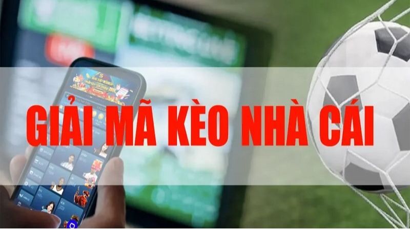 Người chơi nên phân tích chi tiết kỹ lưỡng khi đặt kèo