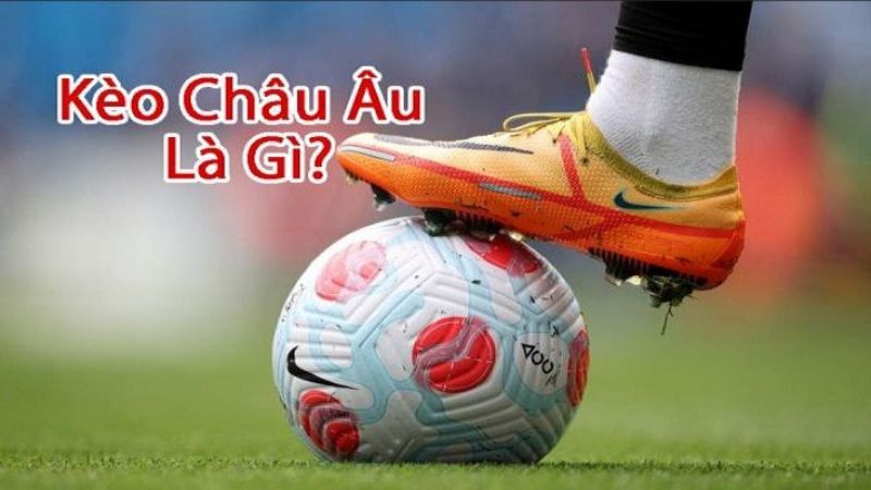 Anh em chơi kèo cần phải theo dõi biến động kèo chi tiết