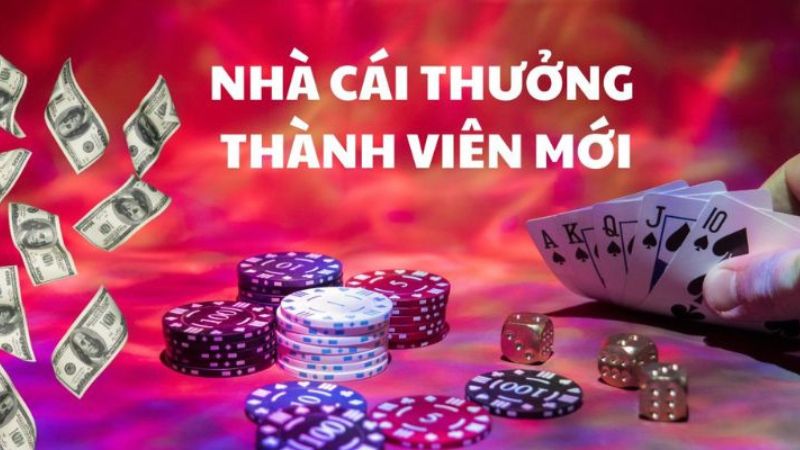Các trang cá cược thường đưa ra các chương trình khuyến mãi cho thành viên mới